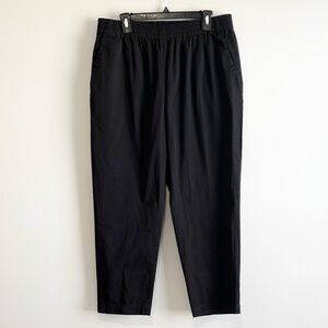 Everlane Elastic Waist Tapered Pants